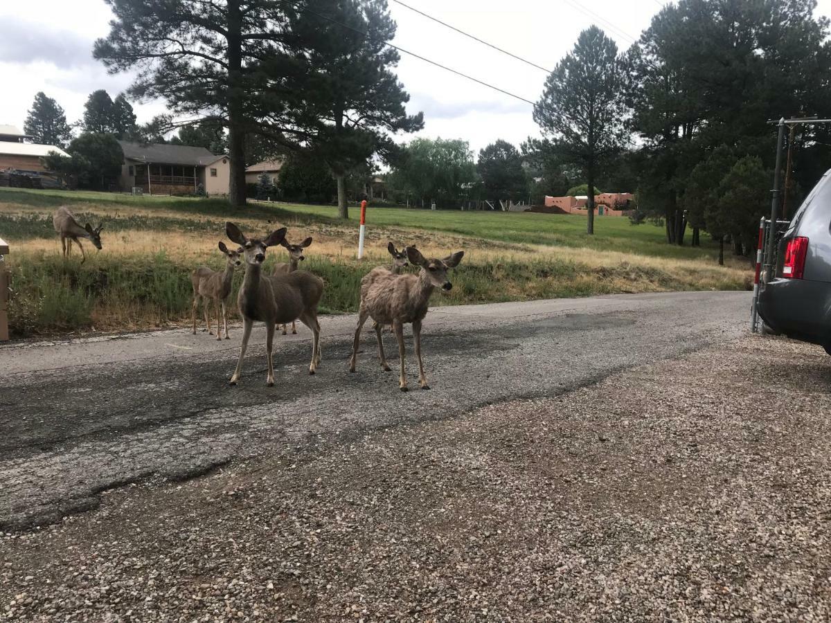 Gonzales Cozy Little Bear Cabin Ruidoso Buitenkant foto